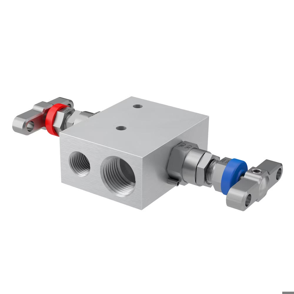 Blok And Bleed 2 Valve