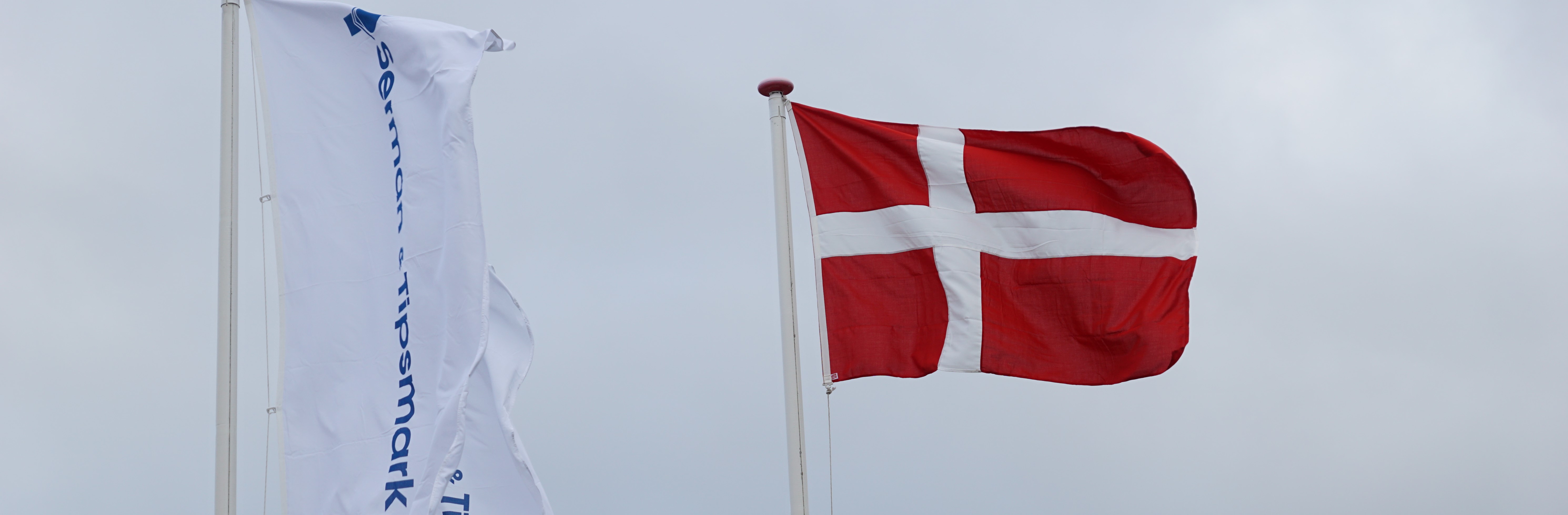 Direktøren fylder 50